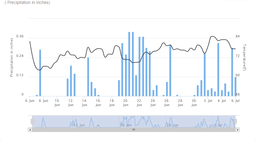 Precipitation Monitor