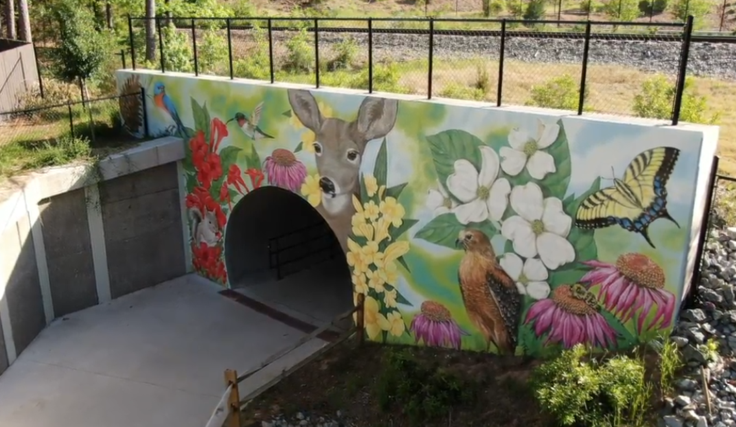 White Oak Creek Greenway Pedestrian Tunnel Mural