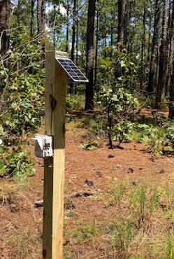 Trail Counter IoT Sensor Solar Powered